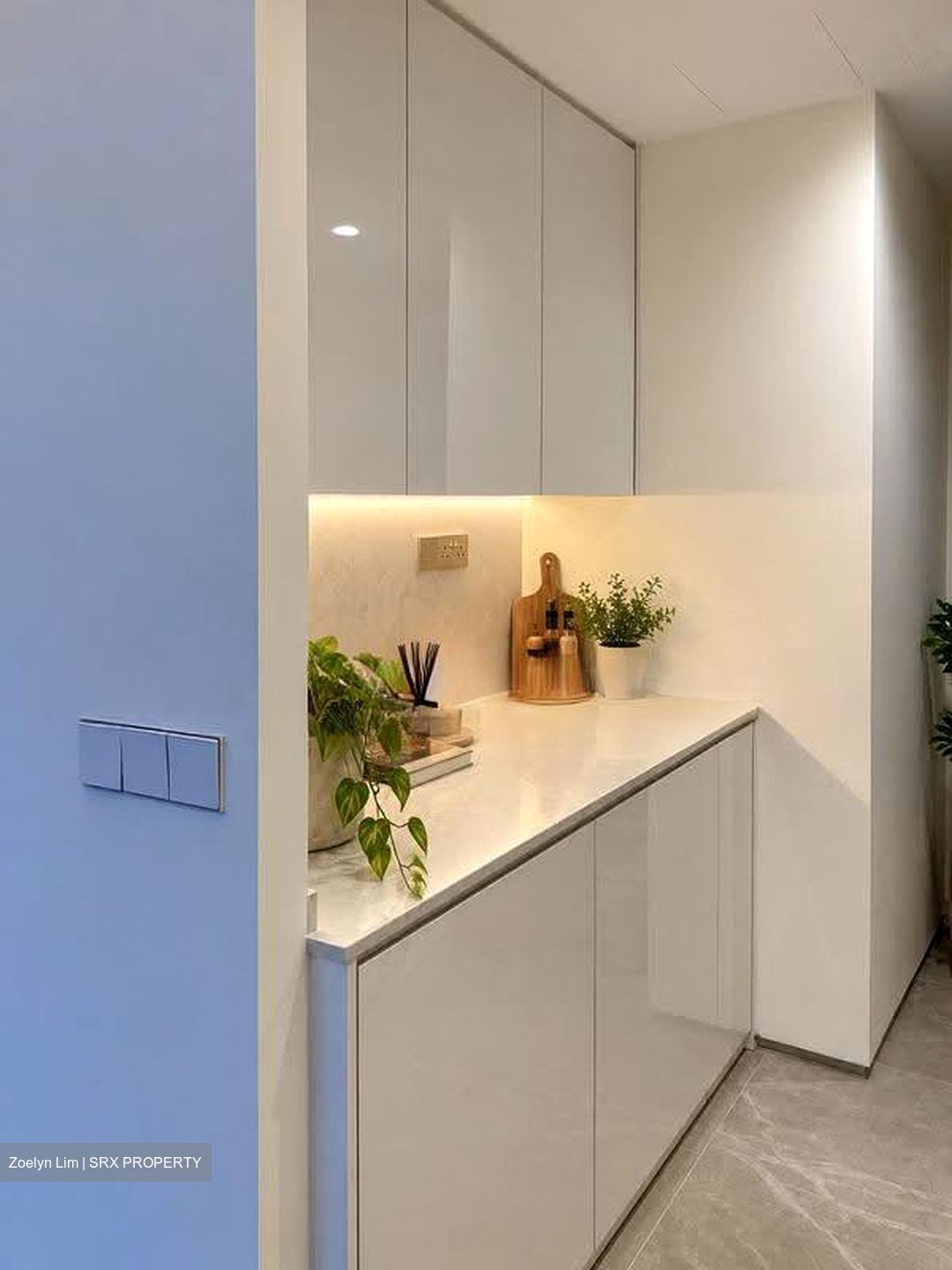 Skysuites@Anson (D2), Apartment #638494101